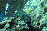 Curacao 04-12 572